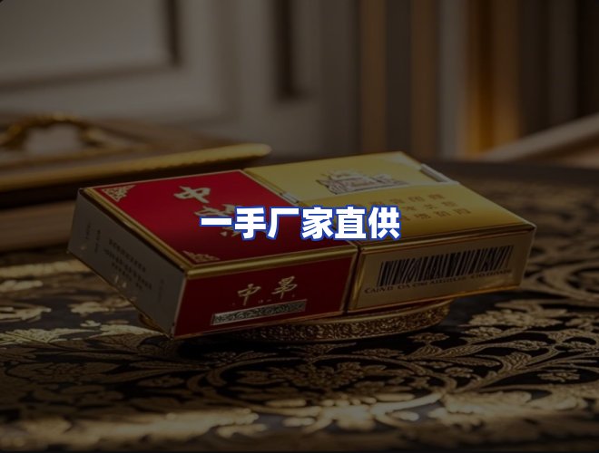 专业团队